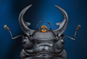 35-photography-awards-macro-winners-08-650x445-1