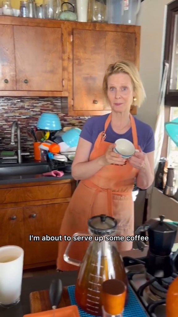 Cynthia-Nixon-Gives-Fans-Tour-of-Her-Surprisingly-Normal-Kitchen-Full-of-Vases-Kale-and-More-567