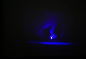 IMG_5708