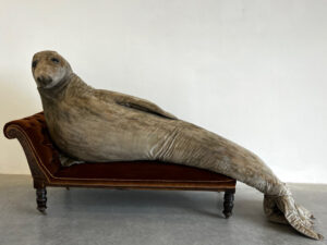 Laura-Ford-Reclining-Seal-2025-Jesmonite-nylon-wadding-velvet-acrylic-paint-seaweed-ink-glazed-ceramic-eyes-art-plugged-1024x768-1