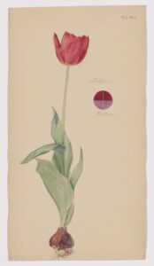 MoMA_35