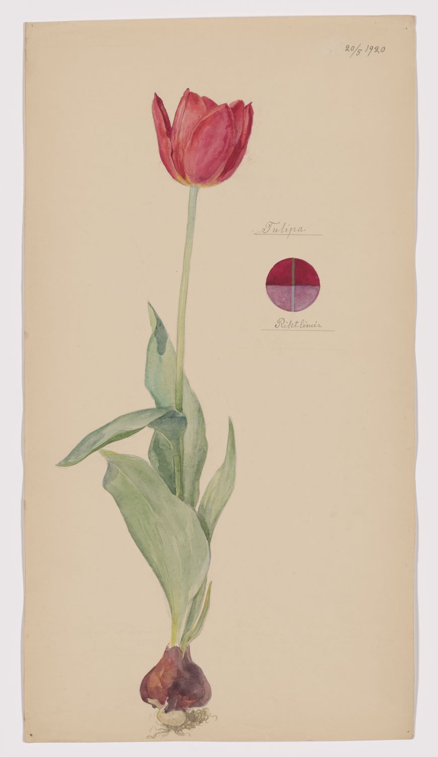 MoMA_35