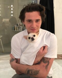 Nicola-Peltz-s-Dog-Death-Court-Drama-Amid-Beckham-Family-Feud-2