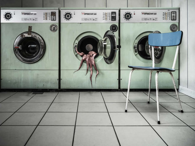 food-photography-awards-2025-winners-10-650x488-1