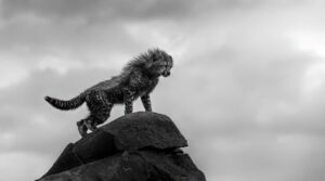 monochrome-wildlife-awards-03-1-650x362-1
