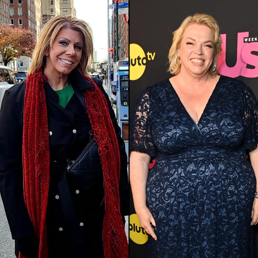 Sister-Wives-Preview-Meri-and-Janelle-Detail-Sex-Lives-After-Kody-Splits-Deny-Being-Asexual-2177903830-