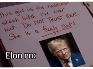 meangirlsmusk