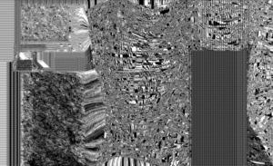 monogrid_90_asendorf