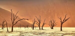 the-artist-gallery-landscape-awards-2025-winners-07-650x315-1